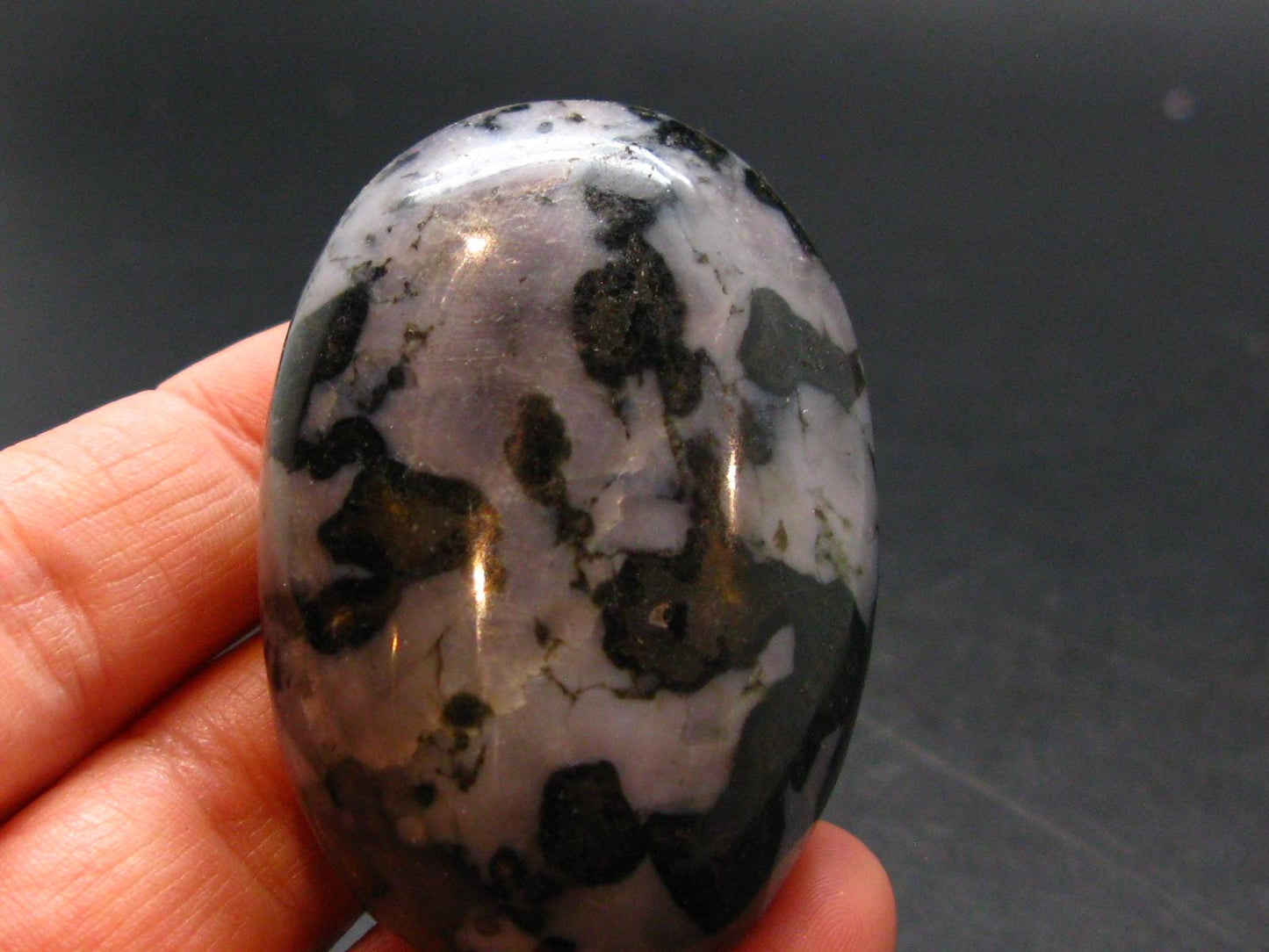 Gabbro Mystic Merlinite Tumbled Piece From Indian Ocean - 2.0"