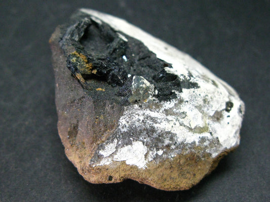 Vivianite In Shell Crystal From Russia - 1.8"