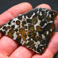 Large Sericho Meteorite Pallasite Olivine Slice From Kenya - 2.8" - 20.07 Grams