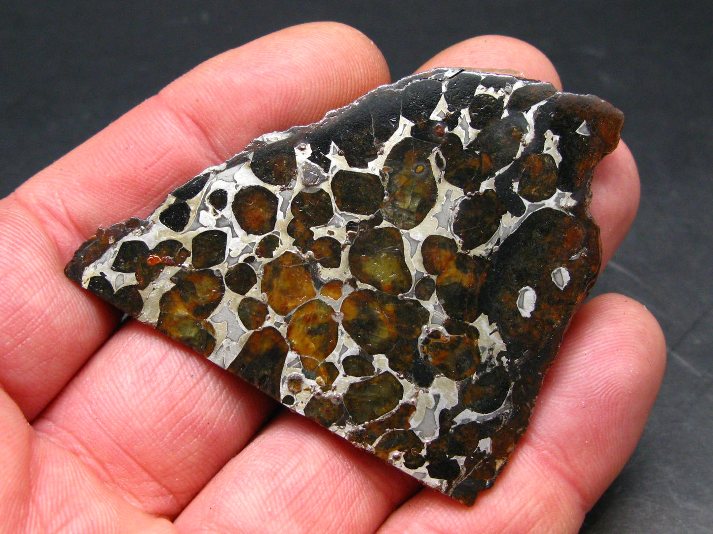 Large Sericho Meteorite Pallasite Olivine Slice From Kenya - 2.8" - 20.07 Grams