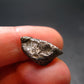 Sikhote Alin Meteorite From Russia - 2.31 Grams - 0.6"
