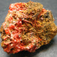 Rare Orange Crocoite Cluster From Australia - 1.6"- 34.21 Grams