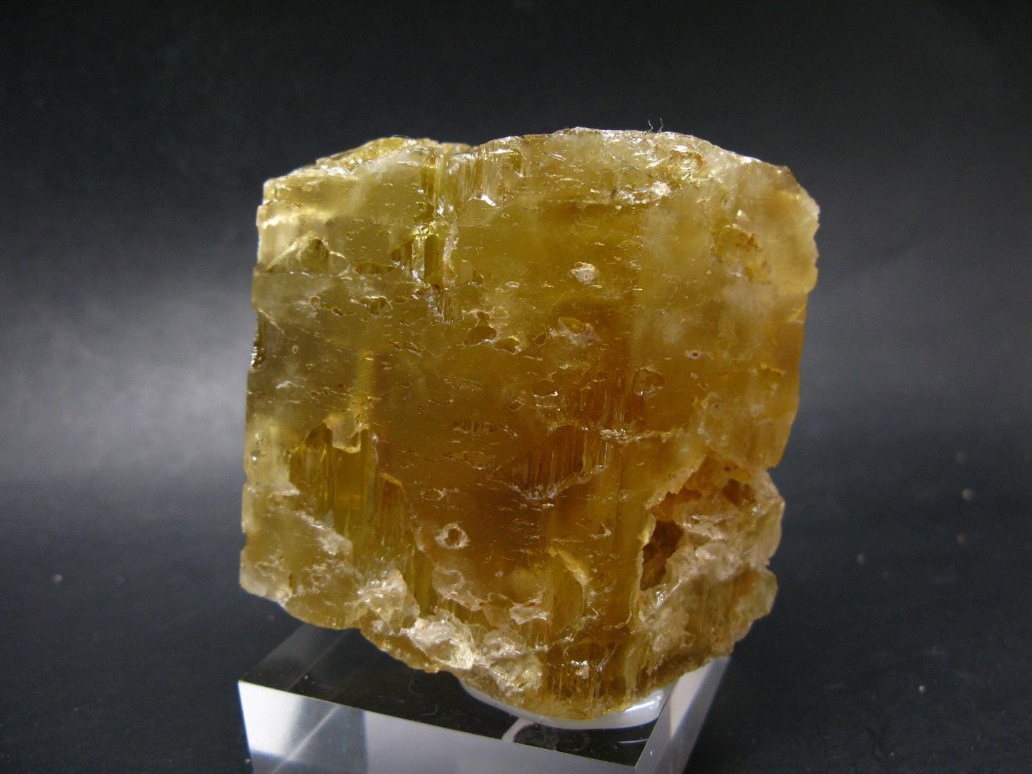 Heliodor (Yellow Beryl) Gem Crystal from Brazil - 548 Grams - 3.9"