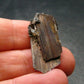 Large Brookite Crystal From Pakistan - 1.91 Grams - 30 mm
