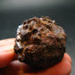 Rare Prophecy Stone Limonite after Pyrite From Egypt - 1.5" - 72.68 Grams