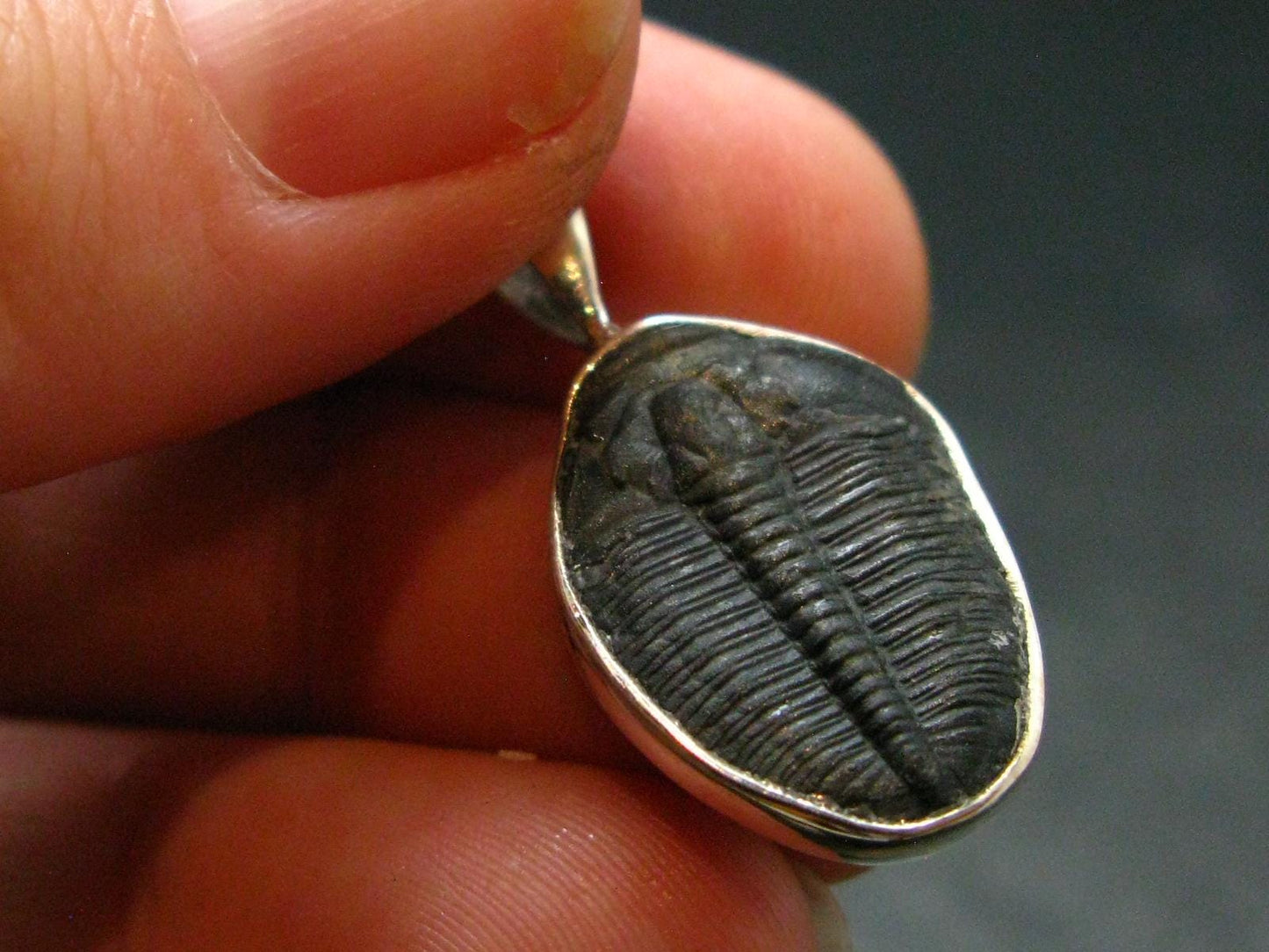Trilobite Silver Pendant from USA - 1.0" - 1.66 Grams