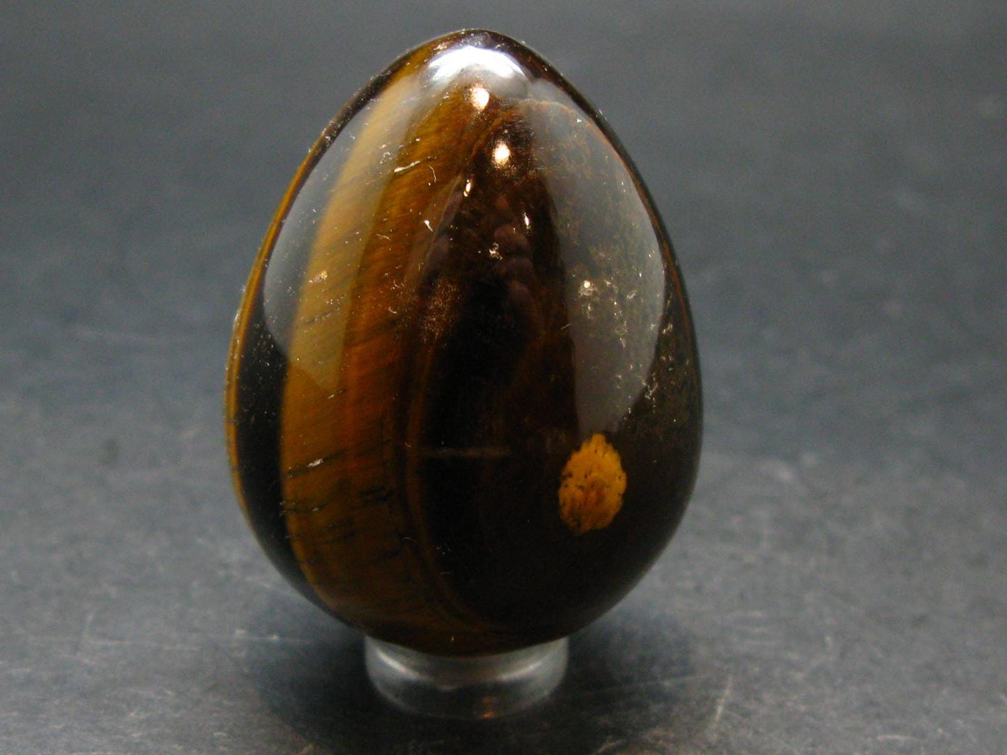Golden Tiger Eye Egg From South Africa - 1.8"