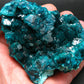 Stunning Dioptase cluster from Congo - 3.5"