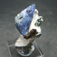 Benitoite and Neptunite on Natrolite Cluster From California - 1.7"