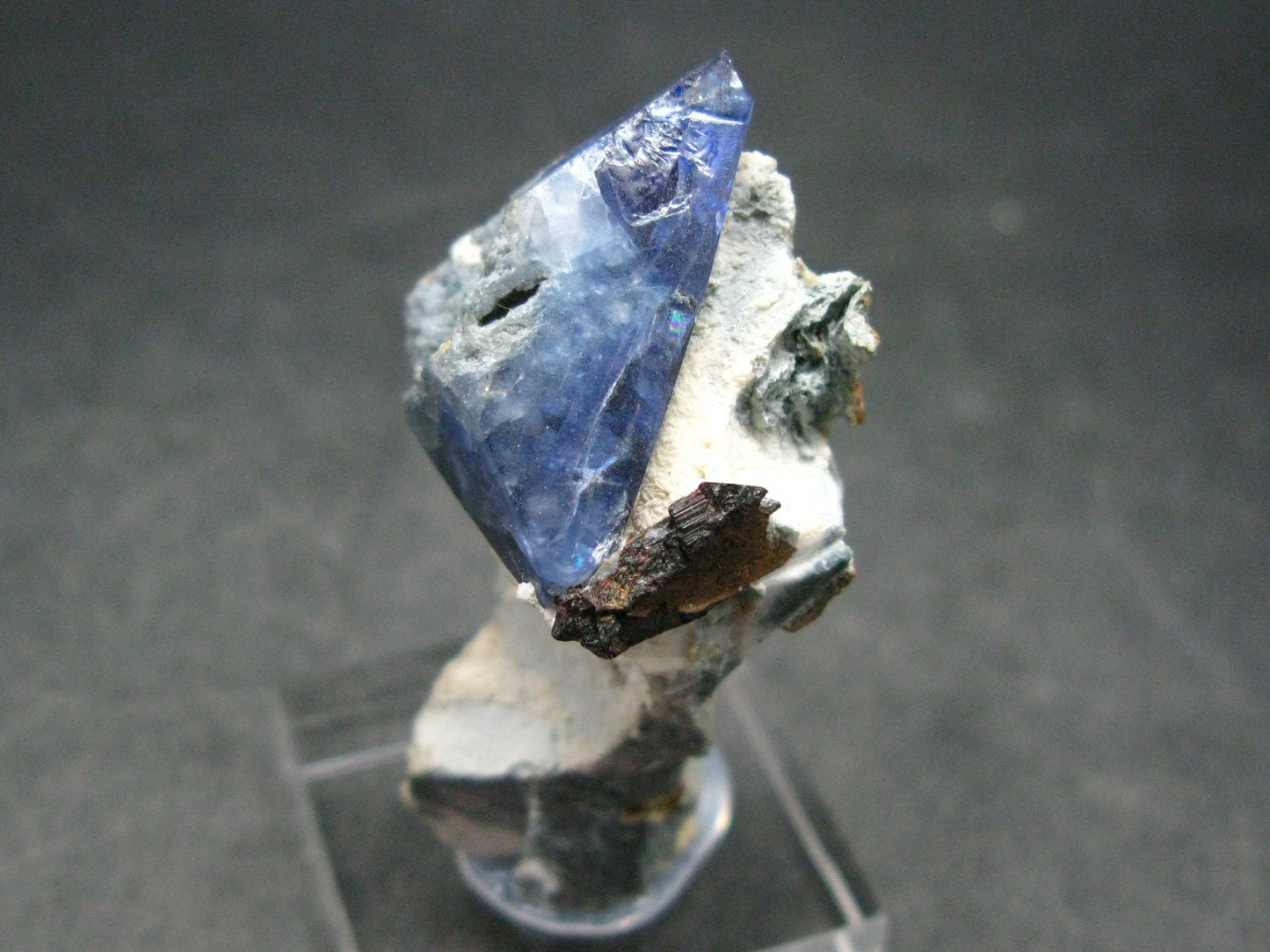 Benitoite and Neptunite on Natrolite Cluster From California - 1.7"