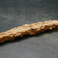 Large Fulgurite Lightning Rock From Sahara Desert - 4.7" - 7.0 Grams