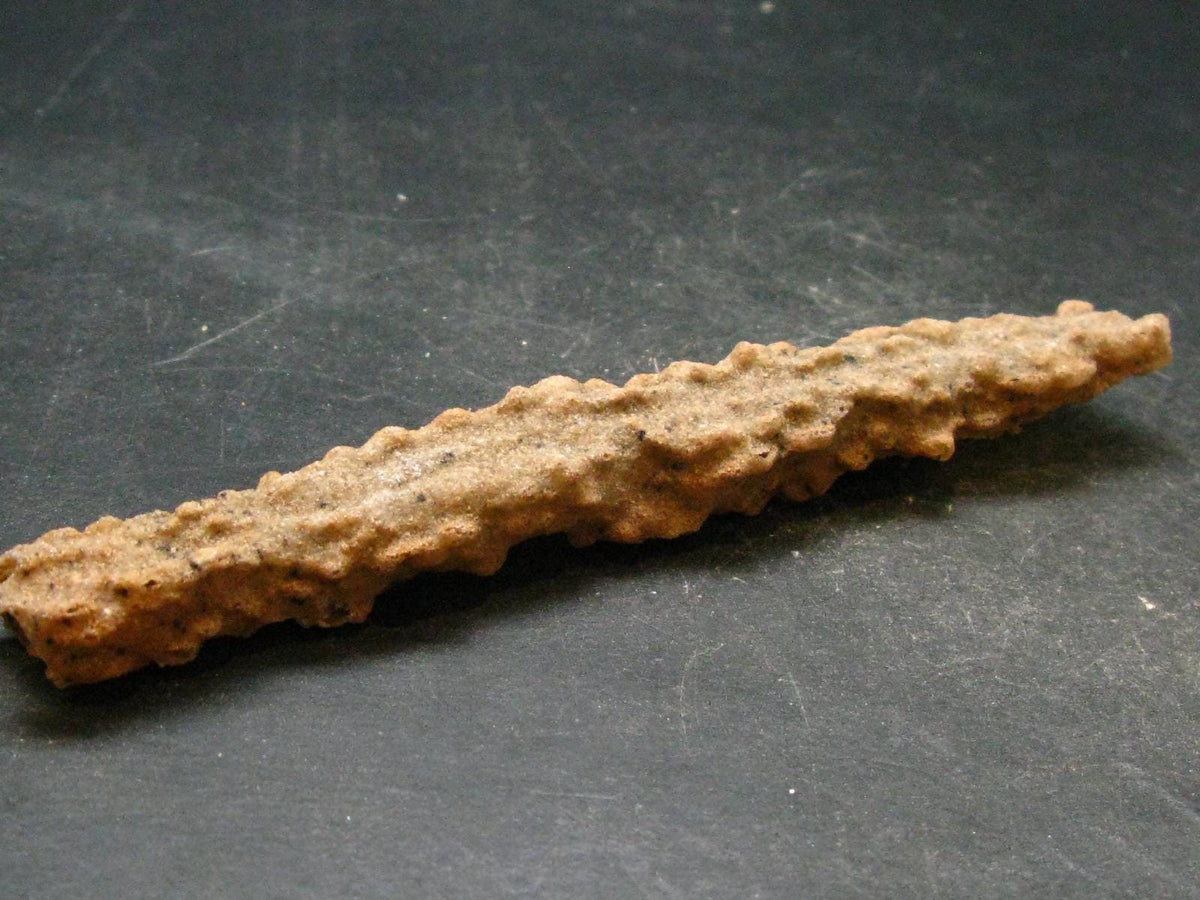 Large Fulgurite Lightning Rock From Sahara Desert - 4.7" - 7.0 Grams