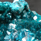 Stunning Dioptase cluster from Congo - 3.5"