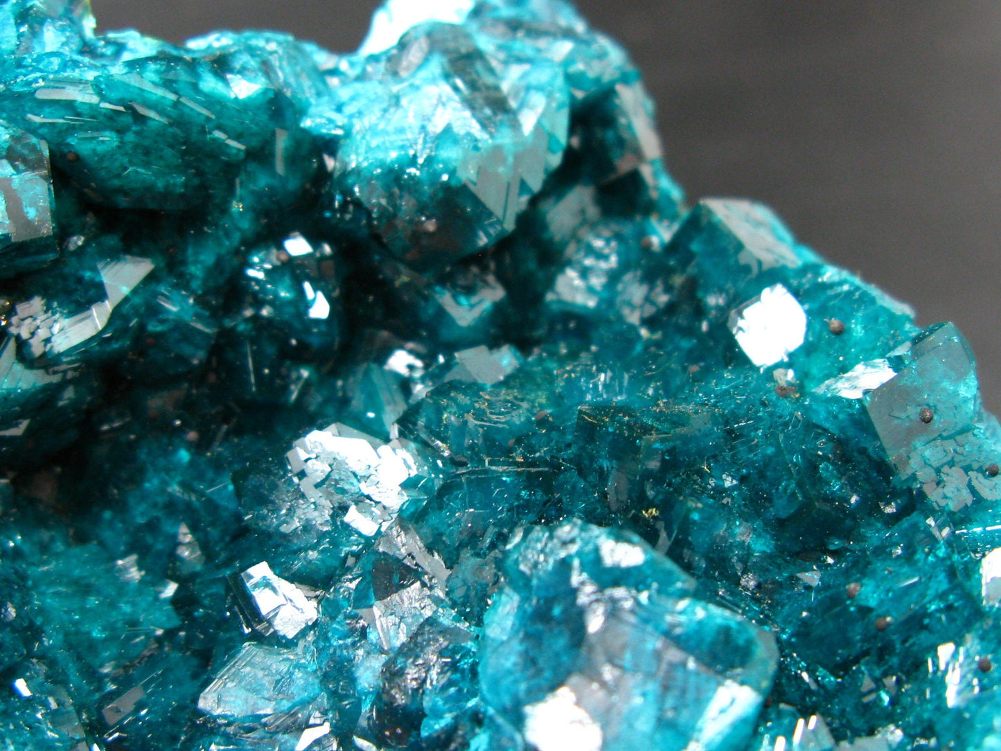 Stunning Dioptase cluster from Congo - 3.5"