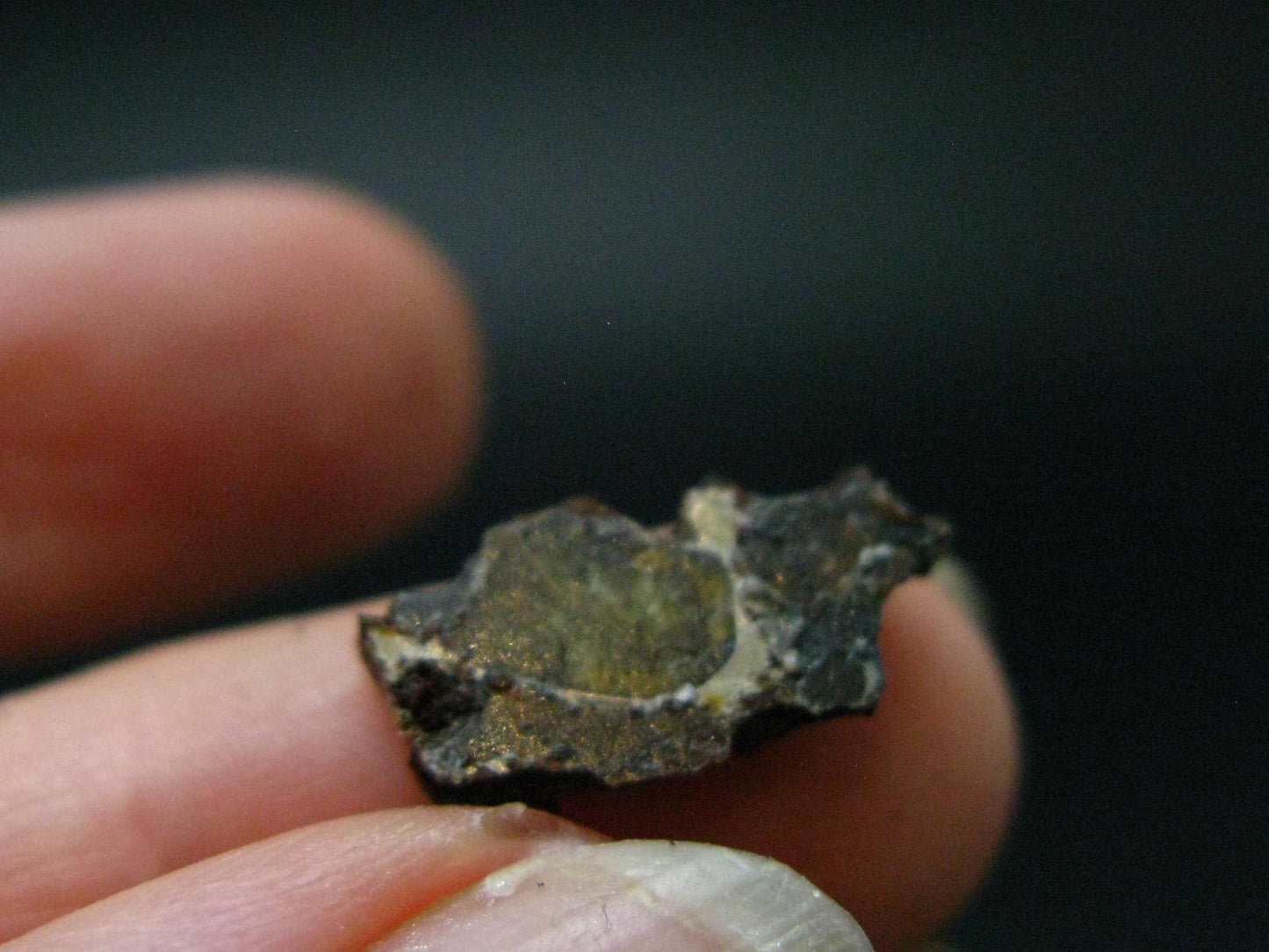 Large Sericho Meteorite Pallasite Olivine Slice From Kenya - 0.6" - 0.94 Grams