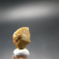 Rare Monazite Crystal From Brazil - 0.4" - 1.25 Grams