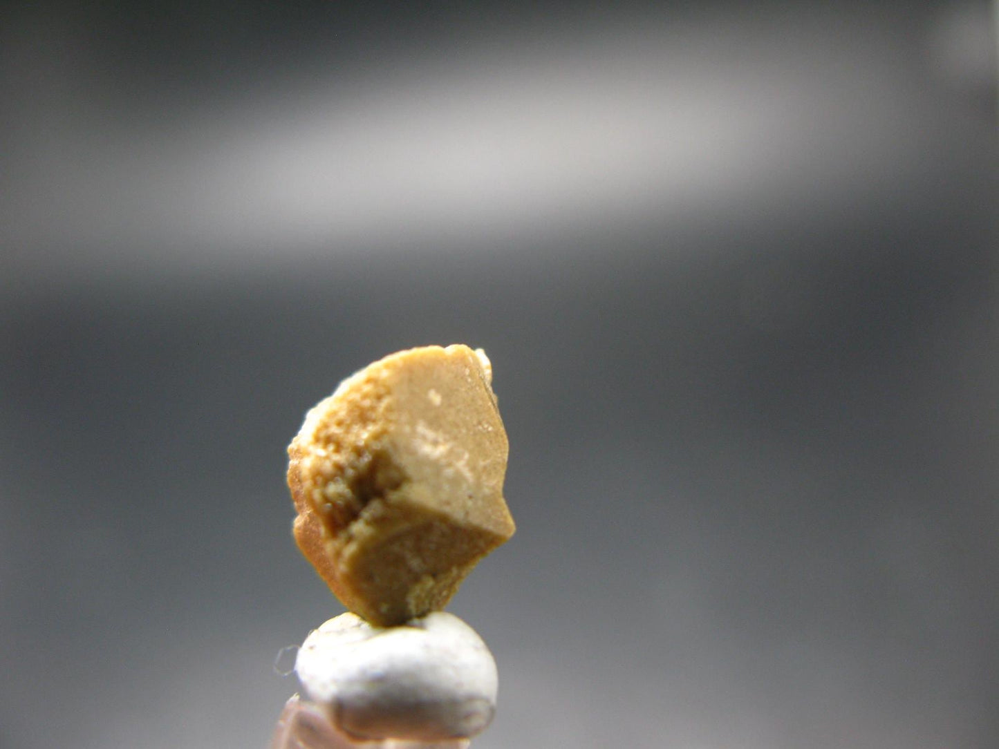 Rare Monazite Crystal From Brazil - 0.4" - 1.25 Grams
