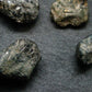 Lot of 10 Alexandrite Chrysoberyl Crystals From Zimbabwe - 41.41 Grams