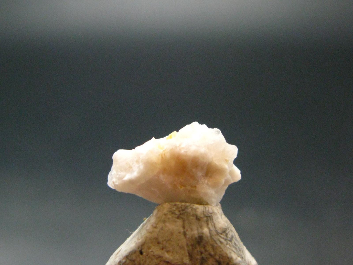 Johachidolite Crystal from Mogok - 0.5" - 0.62 Grams