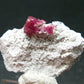 Rare Gem Bixbite Red Emerald Beryl Cluster From Utah USA - 1.3" - 5.61 Grams