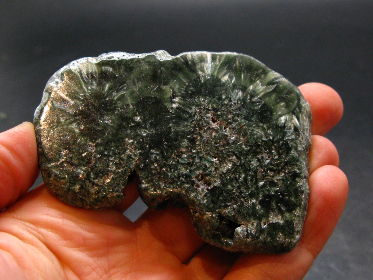 Nice Polished Seraphinite Clinochlore Stalactite Slab From Russia - 2.8" - 49.59 Grams