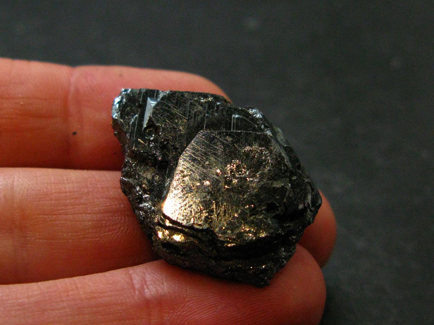 Natural Hematite "Iron Rose" from Brazil - 1.2" - 13.61 Grams