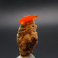 Wulfenite Cluster From Arizona - 1.0"