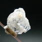 Gemmy Phenakite Phenacite Crystal from Ukraine - 4.60 Carats - 0.5"