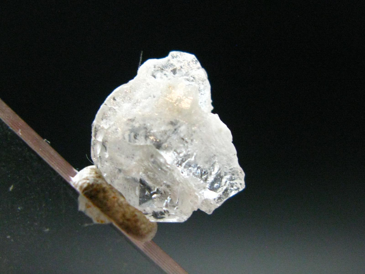 Gemmy Phenakite Phenacite Crystal from Ukraine - 4.60 Carats - 0.5"