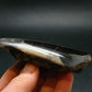 A Perfect Staurolite Polished Crystal on Matrix from Russia - 3.7" - 163.58 Grams