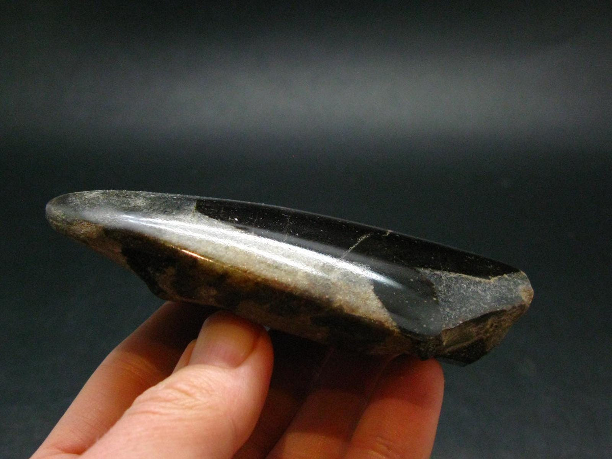 A Perfect Staurolite Polished Crystal on Matrix from Russia - 3.7" - 163.58 Grams
