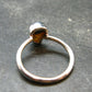 Natural Whole Polished Agatized Ammonite Cleoniceras Sterling Silver Ring from Madagascar - 1.81 Grams - Size 6