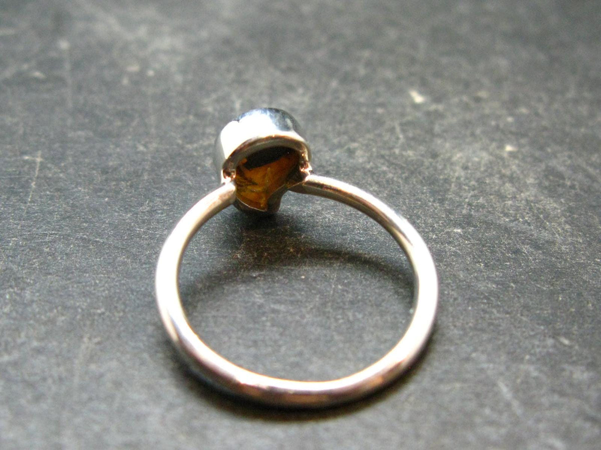 Natural Whole Polished Agatized Ammonite Cleoniceras Sterling Silver Ring from Madagascar - 1.81 Grams - Size 6