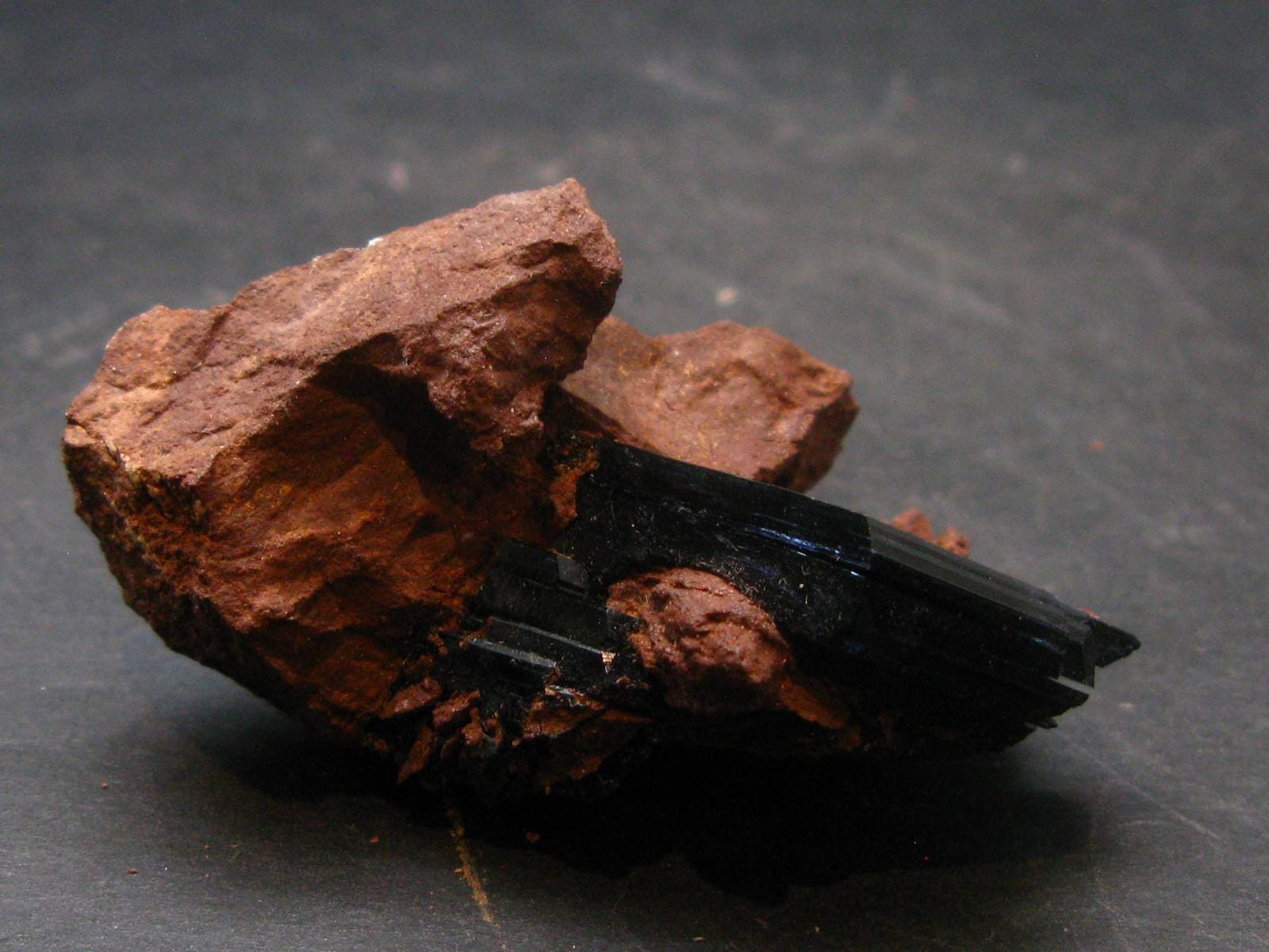 Vivianite Crystal From Bolivia - 2.1" - 26.0 Grams