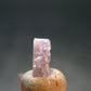 Fine Rare Carletonite Crystal From Mt. St. Hilaire Canada - 0.3" - 0.25 Grams