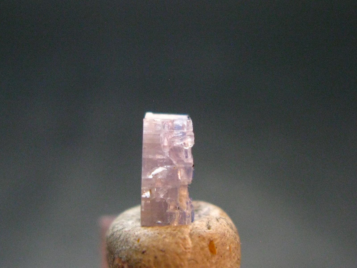 Fine Rare Carletonite Crystal From Mt. St. Hilaire Canada - 0.3" - 0.25 Grams