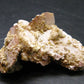 Rare Herderite Cluster from Brazil - 1.6"