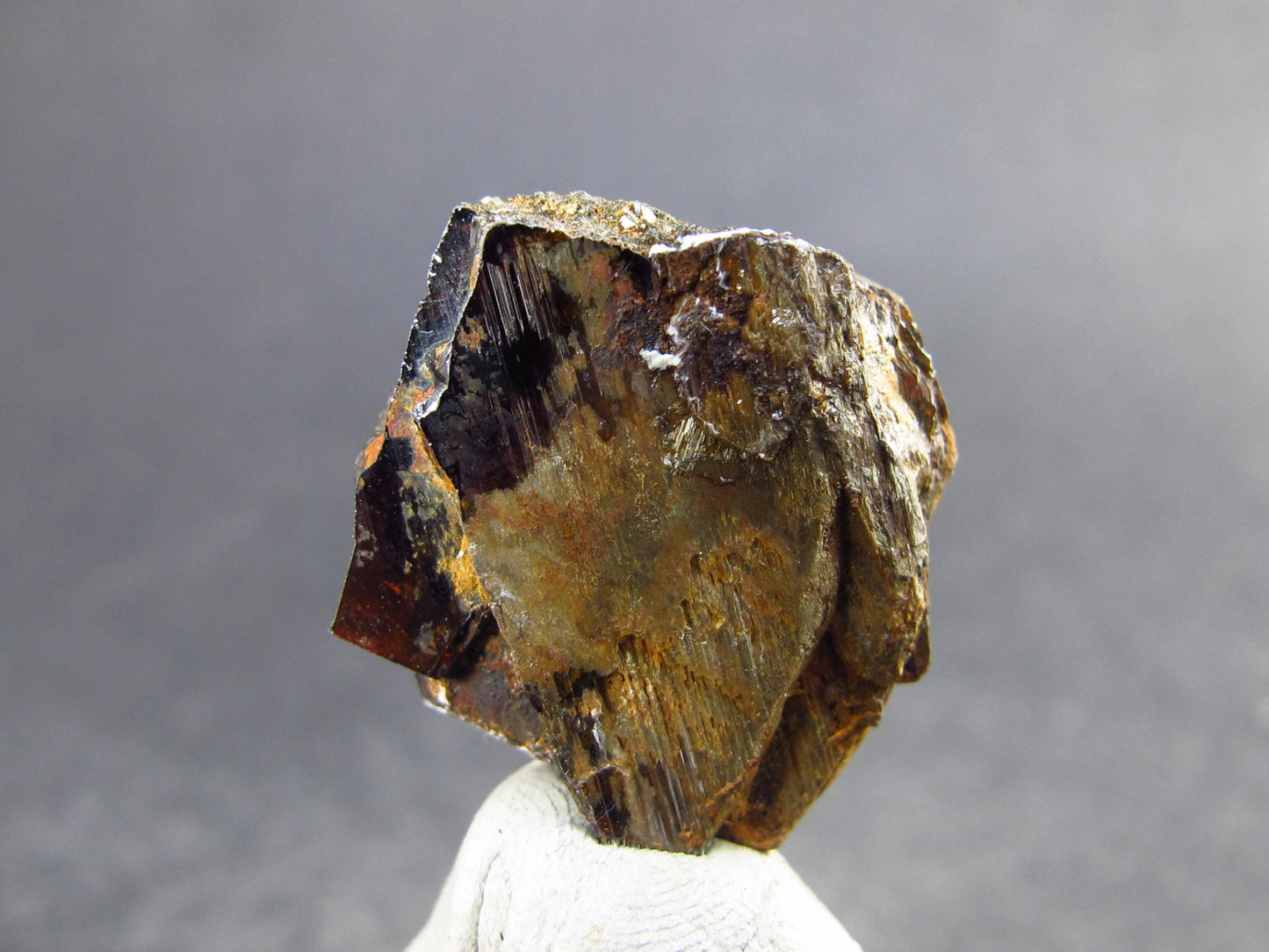 Large Brookite Crystal from Madagascar - 3.88 Grams - 0.8"