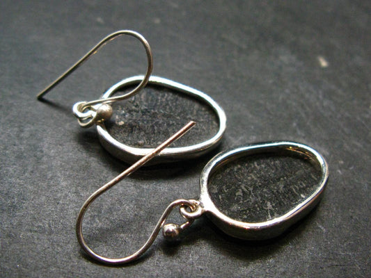 Trilobite Silver Earrings from USA - 1.3" - 4.08 Grams
