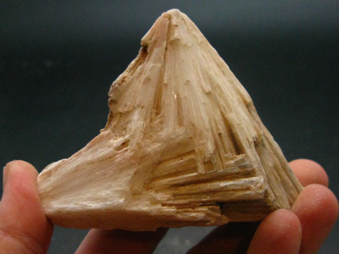 Scolecite Crystal From Namibia - 2.5" - 109.60 Grams