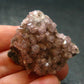 Cobaltocalcite Cobalto Calcite Cluster From Morocco - 1.7"
