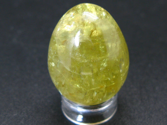 Large Gold Apatite Egg from Mexico - 20.4 Grams - 1.1"