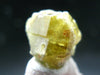 Chrysoberyl Crystal From Brazil - 9.90 Carats