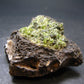 Rare Gem Peridot Cluster from Arizona, USA - 2.2"