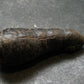Rare Prophecy Stone Limonite after Pyrite From Egypt - 2.1" - 32.77 Grams