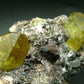Museum Golden Apatite Cluster From Mexico - 4.8"