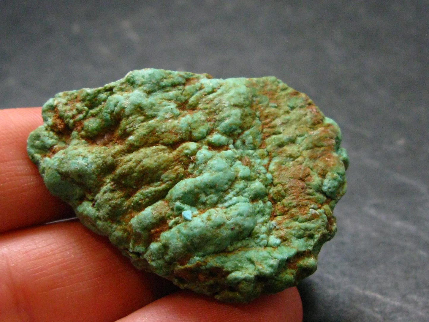 Genuine Sleeping Beauty Turquoise Raw Piece from Arizona, USA - 1.6" - 16.19 Grams