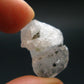 Phenakite Phenacite Gem Crystal from Brazil - 0.8" - 27.45 Carats