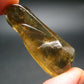 Nice Untreated Unheated Citrine Tumbled Stone from Zambia - 57.45 Carats - 1.6"