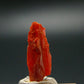 Large Orange Crocoite Crystal From Australia - 0.7" - 5.40 Carats
